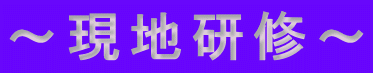 ～現地研修～ 