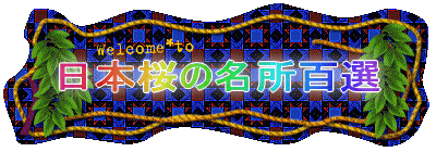 ���{���̖����S�I