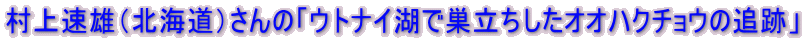 村上速雄（北海道）さんの「ウトナイ湖で巣立ちしたオオハクチョウの追跡」