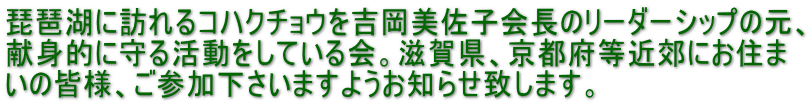 琵琶湖に訪れるコハクチョウを吉岡美佐子会長のリーダーシップの元、 献身的に守る活動をしている会。滋賀県、京都府等近郊にお住ま いの皆様、ご参加下さいますようお知らせ致します。 