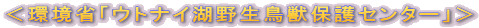 ＜環境省「ウトナイ湖野生鳥獣保護センター」＞